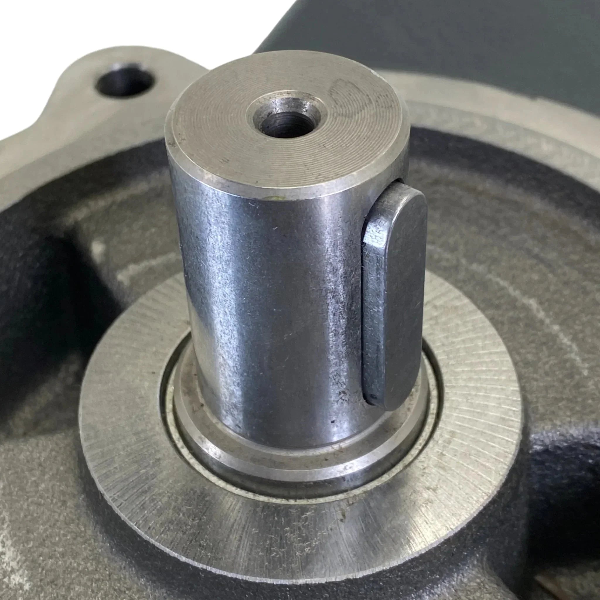 418269 Rickmeier Gear Pump