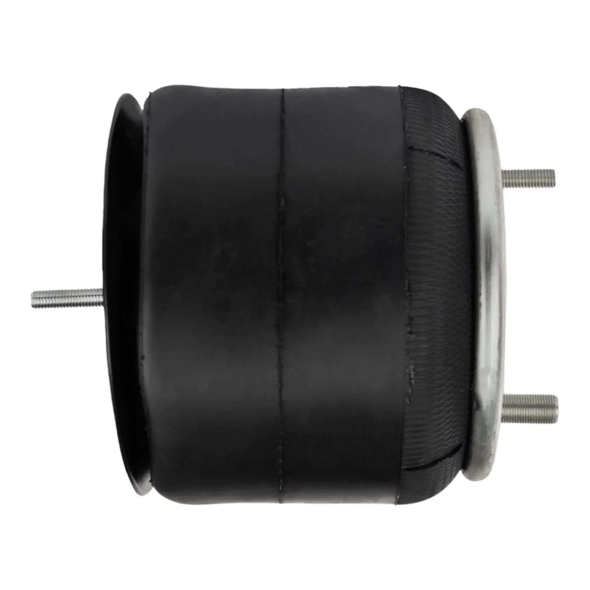 W01-358-9807 Genuine Firestone Air Spring Bag
