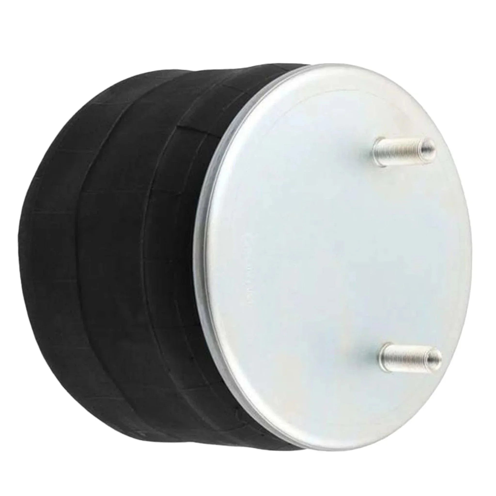 W01-358-9807 Genuine Firestone Air Spring Bag